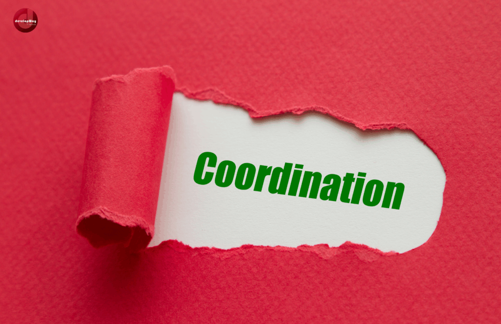 International_Project_coordination